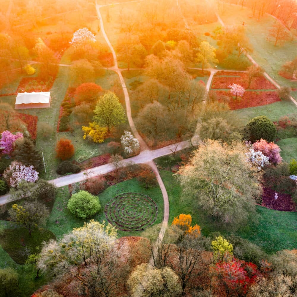 Belmonte Arboretum (2026) 30x20cm/60x40cm